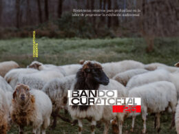 Convocatoria cine BANDO CURATORIAL