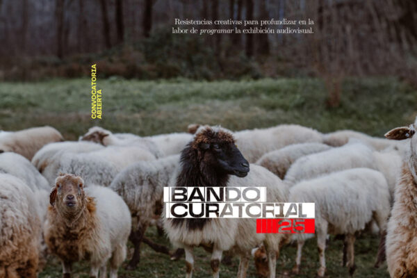 Convocatoria cine BANDO CURATORIAL