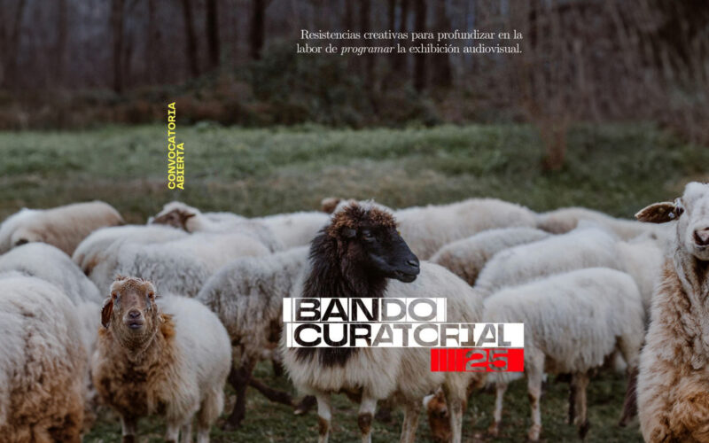 Convocatoria cine BANDO CURATORIAL